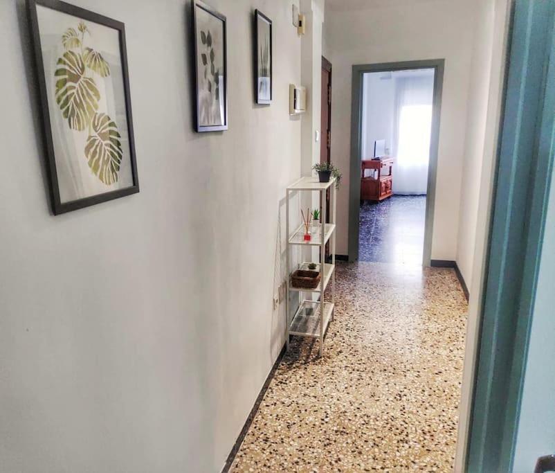 La Pita Apartamento